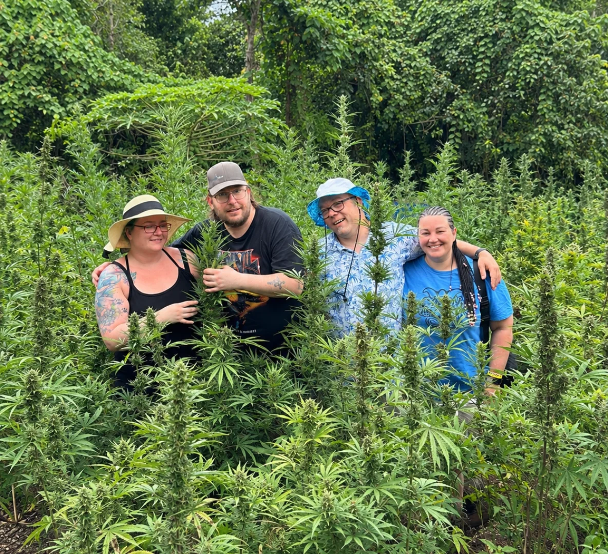 Weed Farm Tour – Montego Bay